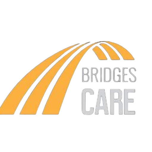 Bridges Care Services Campbelltown NDIS provider
