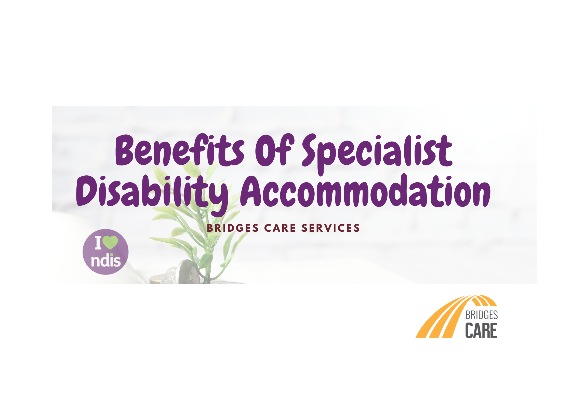 Specialist Disability Accommodation: Discover Its Benefits (2023 ...