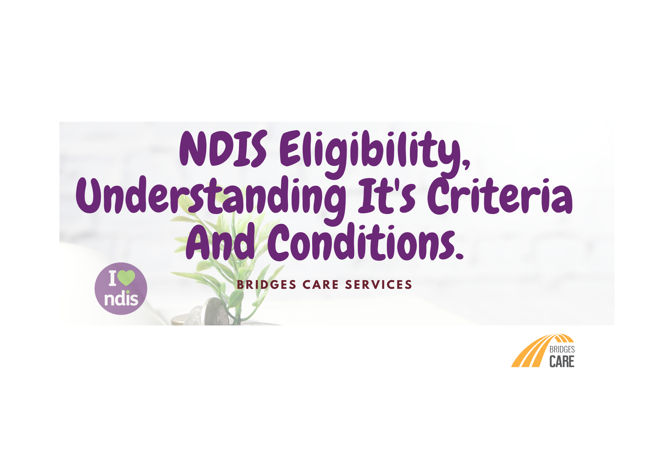 NDIS Eligibility, Understanding It's Criteria And Conditions. Bridges